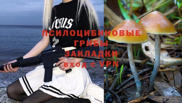 бутират Арсеньев
